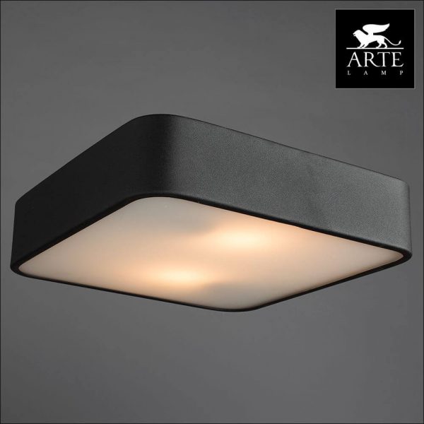 Потолочный светильник Arte Lamp Cosmopolitan A7210PL-2BK 2