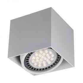 Потолочный светильник Zumaline BOX 1 ACGU10-114