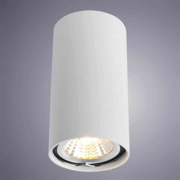 Потолочный светильник Arte Lamp A1516PL-1WH 1
