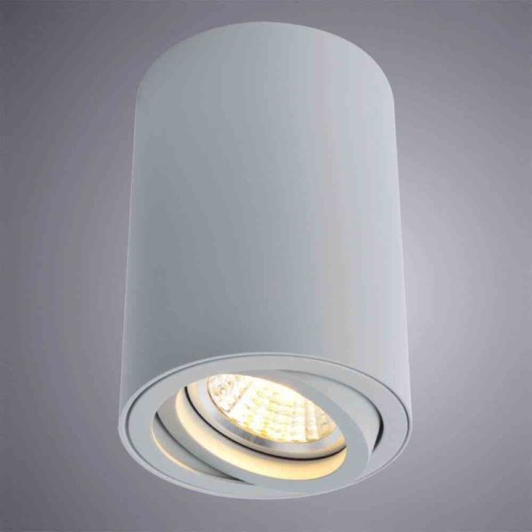 Потолочный светильник Arte Lamp A1560PL-1GY 2
