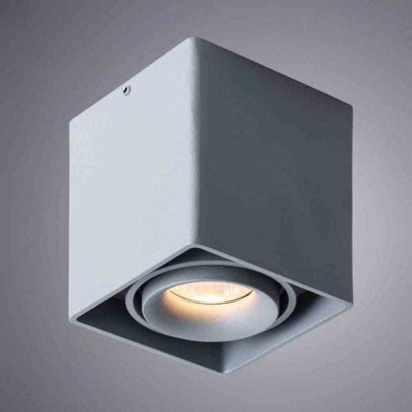 Потолочный светильник Arte Lamp Pictor A5654PL-1GY 1