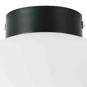Плафон потолочный Lightstar Globo 812037