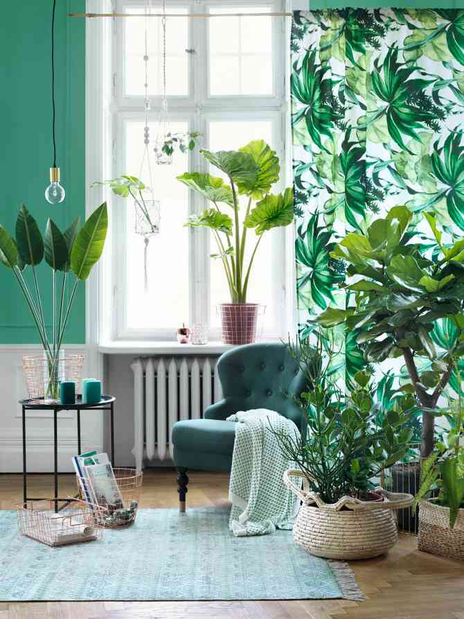 комната в зеленых тонах, зелень в интерьере, комнатные растения в интерьере