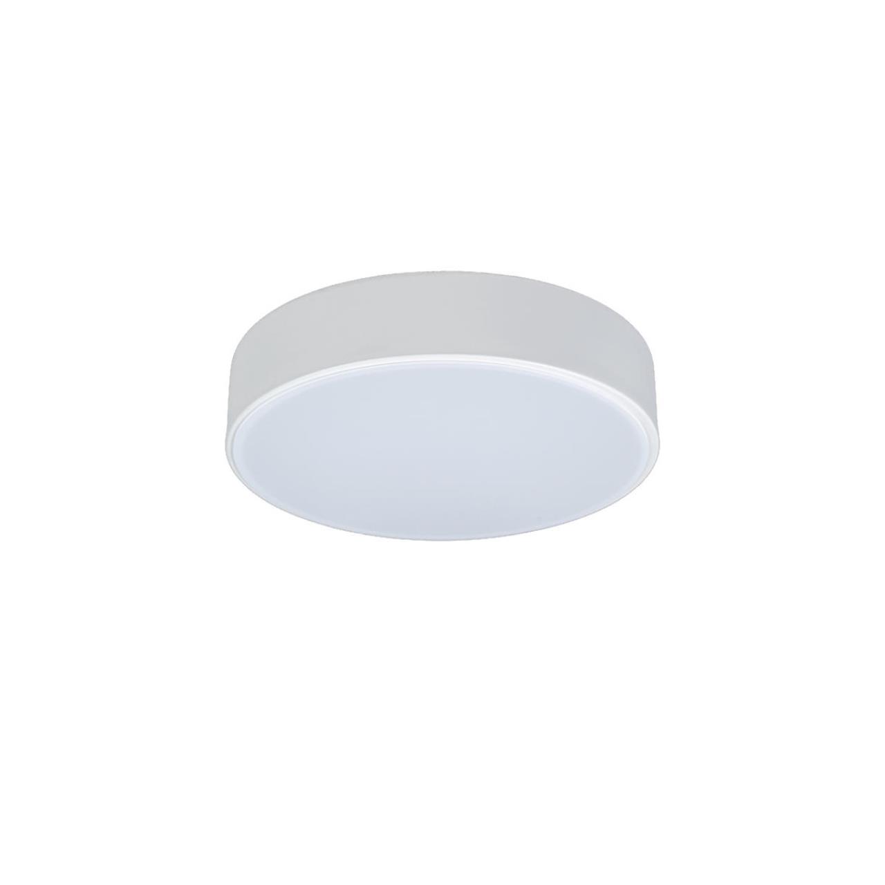 Потолочный светильник LOFT IT Axel 10002/12 White