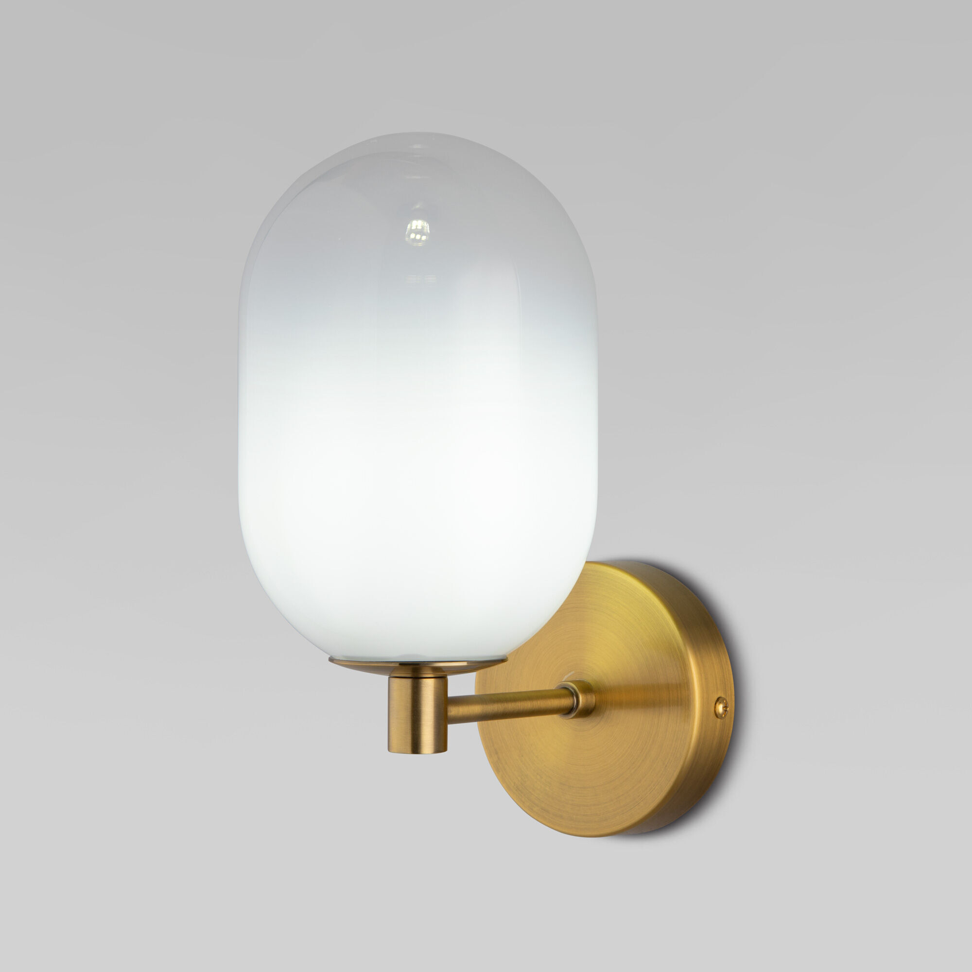 Настенный светильник со стеклянным плафоном Eurosvet Loona 60161