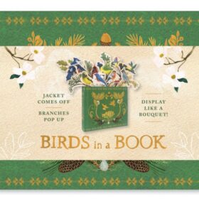Birds in a Book (a Bouquet in a Book): Jacket Comes Off. Branches Pop Up. Display Like a Bouquet! (Птицы в книге)