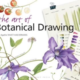 Art of botanical drawing (Агата Равет-Хаевермас: Как рисовать растения)
