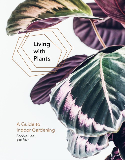 Living with Plants: A Guide to Indoor Gardening (Софи Ли: Жизнь с растениями. Руководство по комнатному садоводству) 83 Living with Plants: A Guide to Indoor Gardening (Софи Ли: Жизнь с растениями. Руководство по комнатному садоводству) — изображение 83