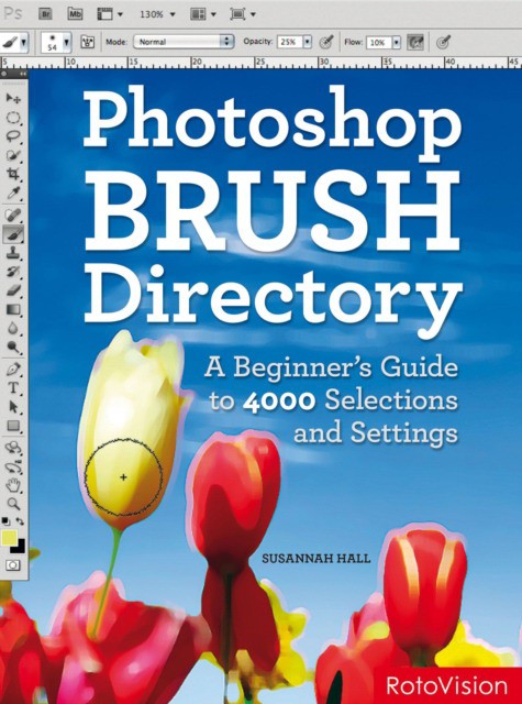 PhotoShop Brush Directory: A Beginner's Guide to 4,000 Selections and Settings (Справочник по Photoshop) 88 PhotoShop Brush Directory: A Beginner's Guide to 4,000 Selections and Settings (Справочник по Photoshop) — изображение 88