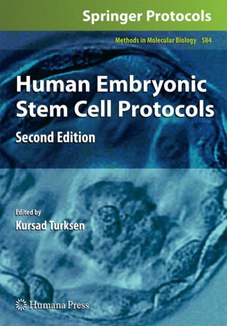 Human Embryonic Stem Cell Protocols (Человеческие эмбриональные протоколы стволовой клетки) 85 Human Embryonic Stem Cell Protocols (Человеческие эмбриональные протоколы стволовой клетки) — изображение 85