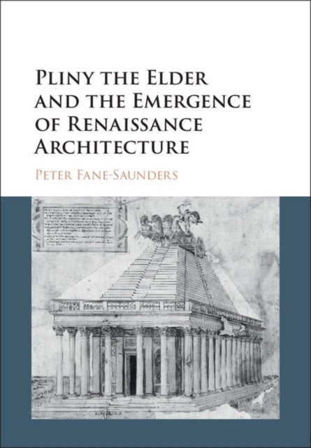 Pliny the Elder and the Emergence of Renaissance Architecture (Фейн-Саундерс: Плиний-старший и аварийная опасность архитектуры эпохи Возрождения) 40 Pliny the Elder and the Emergence of Renaissance Architecture (Фейн-Саундерс: Плиний-старший и аварийная опасность архитектуры эпохи Возрождения) — изображение 40