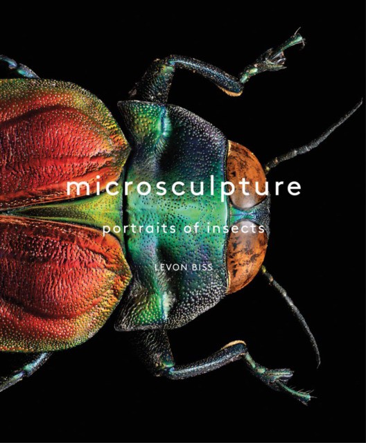 Microsculpture: Portraits of Insects (Левон Бисс: Микроскульптура. Портреты насекомых. Альбом) 33 Microsculpture: Portraits of Insects (Левон Бисс: Микроскульптура. Портреты насекомых. Альбом) — изображение 33