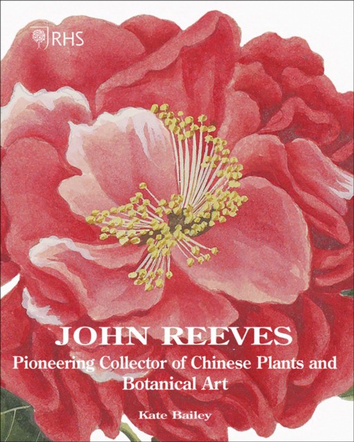 RHS John Reeves: Pioneering Collector of Chinese Plants and Botanical Art (Кейт Бейли: Джон Ривз. Пионер сборщик китайских растений и ботанического искусства) 63 RHS John Reeves: Pioneering Collector of Chinese Plants and Botanical Art (Кейт Бейли: Джон Ривз. Пионер сборщик китайских растений и ботанического искусства) — изображение 63