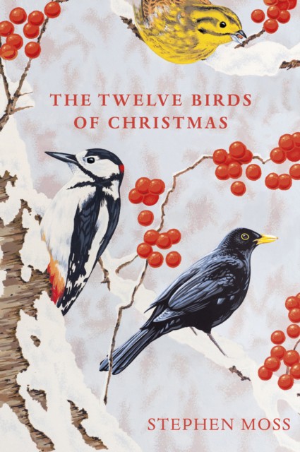 Twelve Birds of Christmas (Стефен Мосс: Двенадцать птиц рождества) 86 Twelve Birds of Christmas (Стефен Мосс: Двенадцать птиц рождества) — изображение 86
