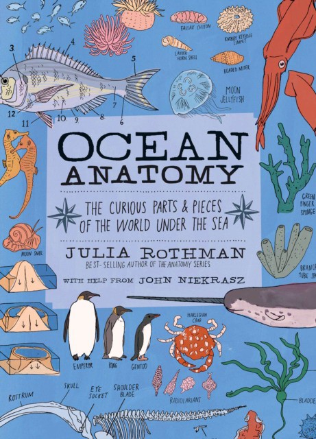 Ocean Anatomy: The Curious Parts & Pieces of the World Under the Sea (Джулия Ротман: Анатомия океана. Любопытные уголки и кусочки мира под водой) 84 Ocean Anatomy: The Curious Parts & Pieces of the World Under the Sea (Джулия Ротман: Анатомия океана. Любопытные уголки и кусочки мира под водой) — изображение 84