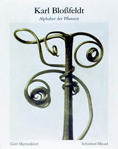 Karl blossfeldt: alphabet of plants (Карл Блоссфельдт. Алфавит растений) 44 Karl blossfeldt: alphabet of plants (Карл Блоссфельдт. Алфавит растений) — изображение 44
