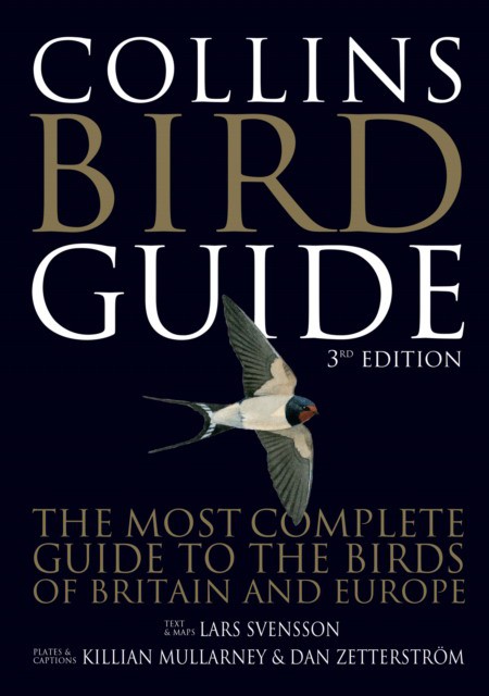 Collins Bird Guide Pb (Ларс Свенссон: Путеводитель по птицам Коллинза) 30 Collins Bird Guide Pb (Ларс Свенссон: Путеводитель по птицам Коллинза) — изображение 30