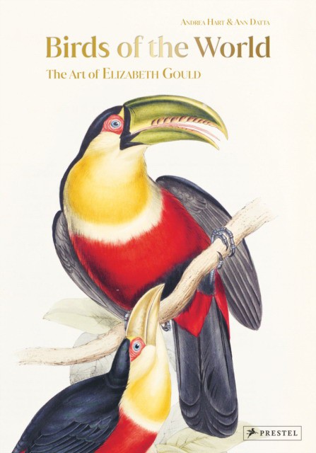 Birds of the world (Андреа Харт, Энн Датта: Птицы мира) 45 Birds of the world (Андреа Харт, Энн Датта: Птицы мира) — изображение 45