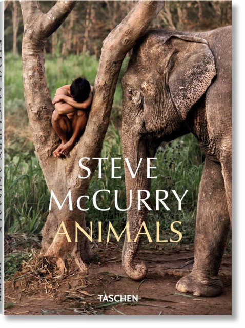 Steve McCurry. Animals (Стив МакКарри. Животные) 78 Steve McCurry. Animals (Стив МакКарри. Животные) — изображение 78