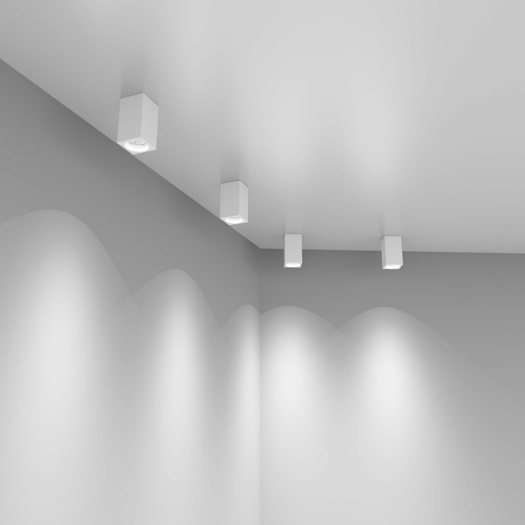 Накладной потолочный светильник VAMVIDNEE VV1001981 4 Накладной потолочный светильник VAMVIDNEE VV1001981 — изображение 4