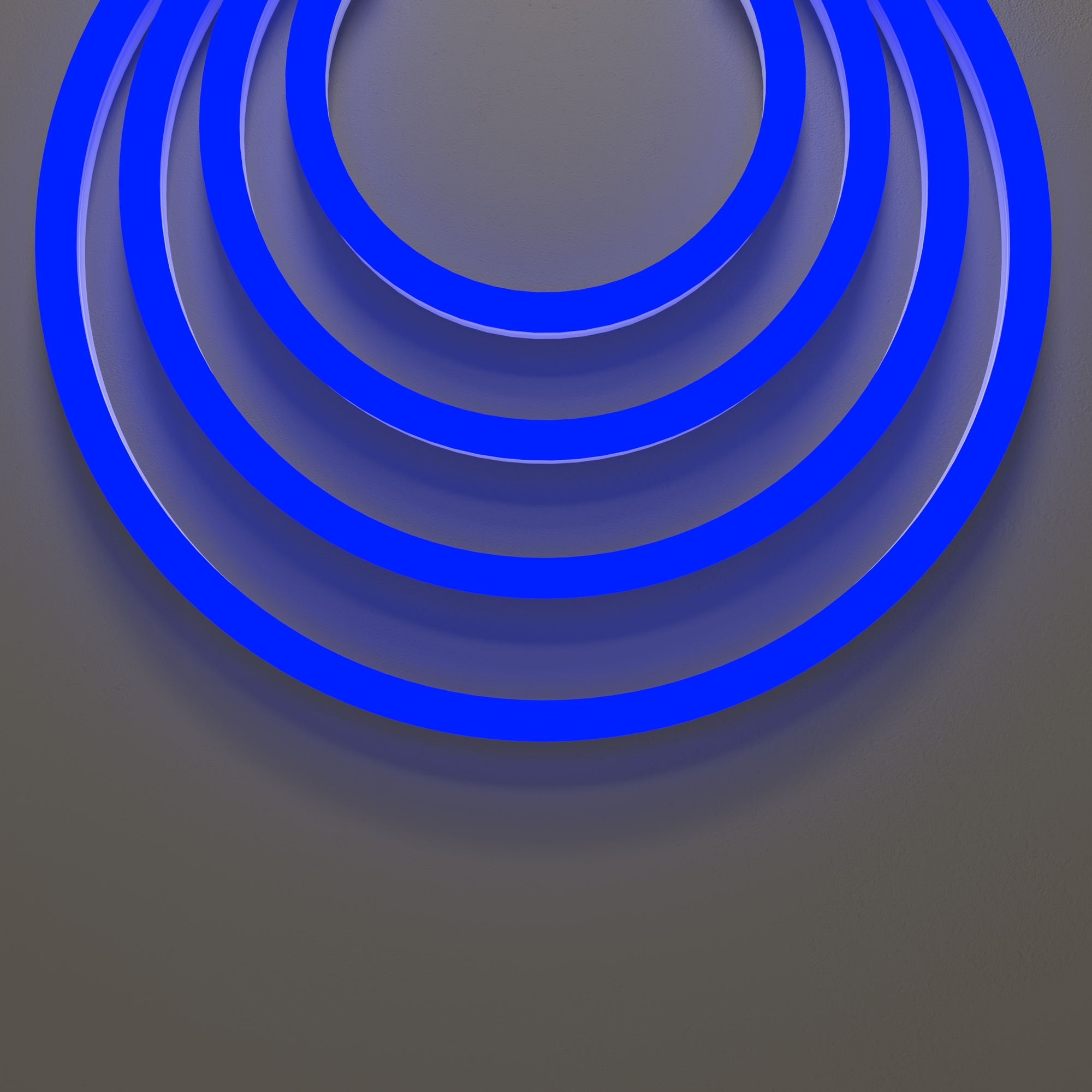 Гибкий неон VAMVIDNEE VV985598 5 Гибкий неон VAMVIDNEE VV985598 — изображение 5