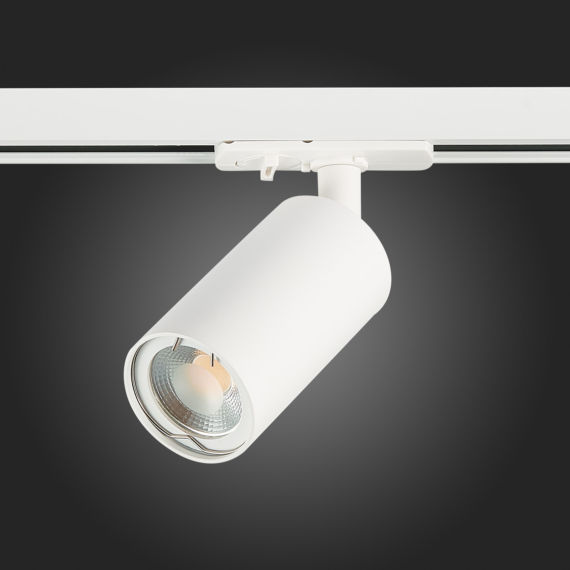 Св-к VAMVIDNEE VV983079 5 Св-к VAMVIDNEE VV983079 — изображение 5