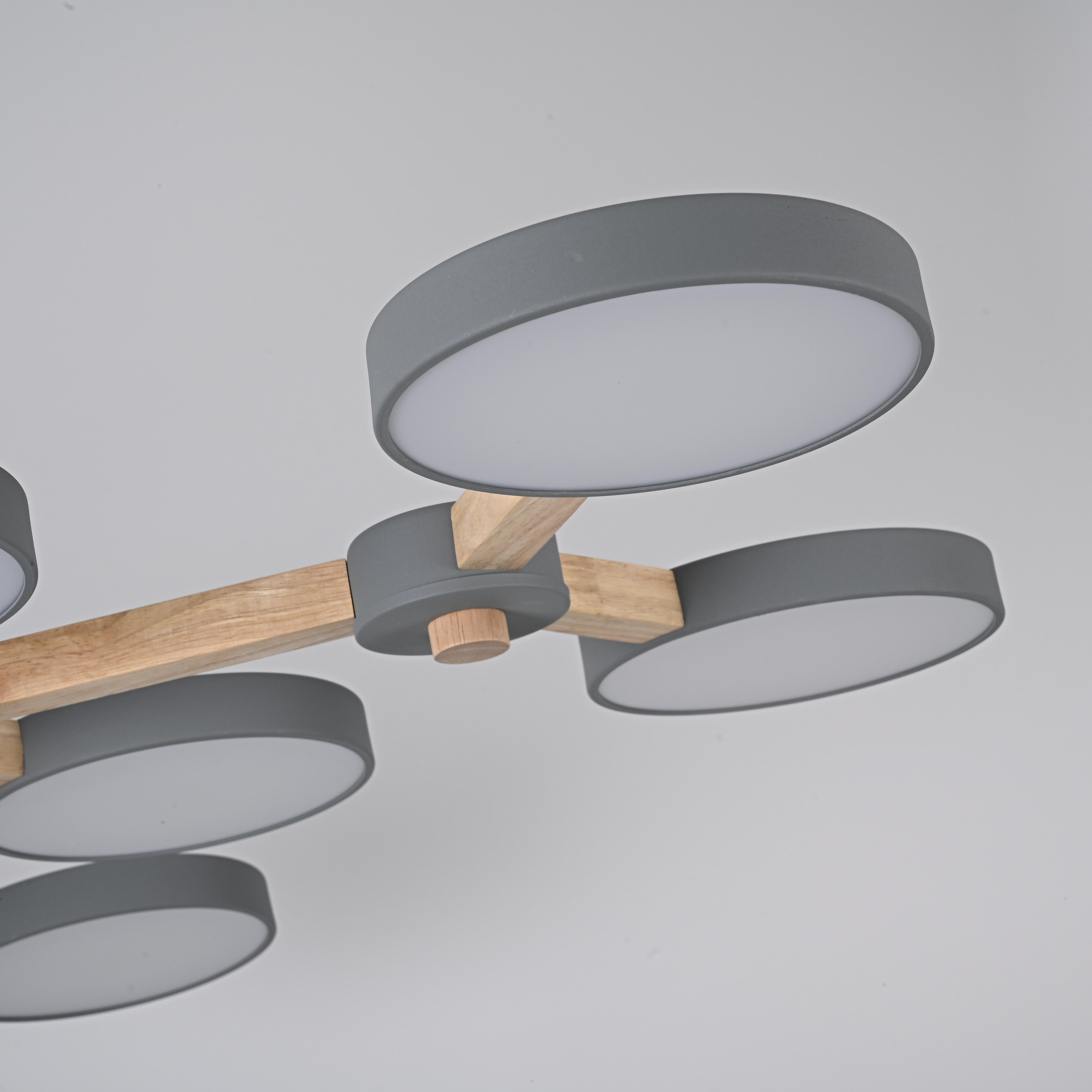 Потолочная люстра серый VAMVIDNEE VV997314 3 Потолочная люстра серый VAMVIDNEE VV997314 — изображение 3