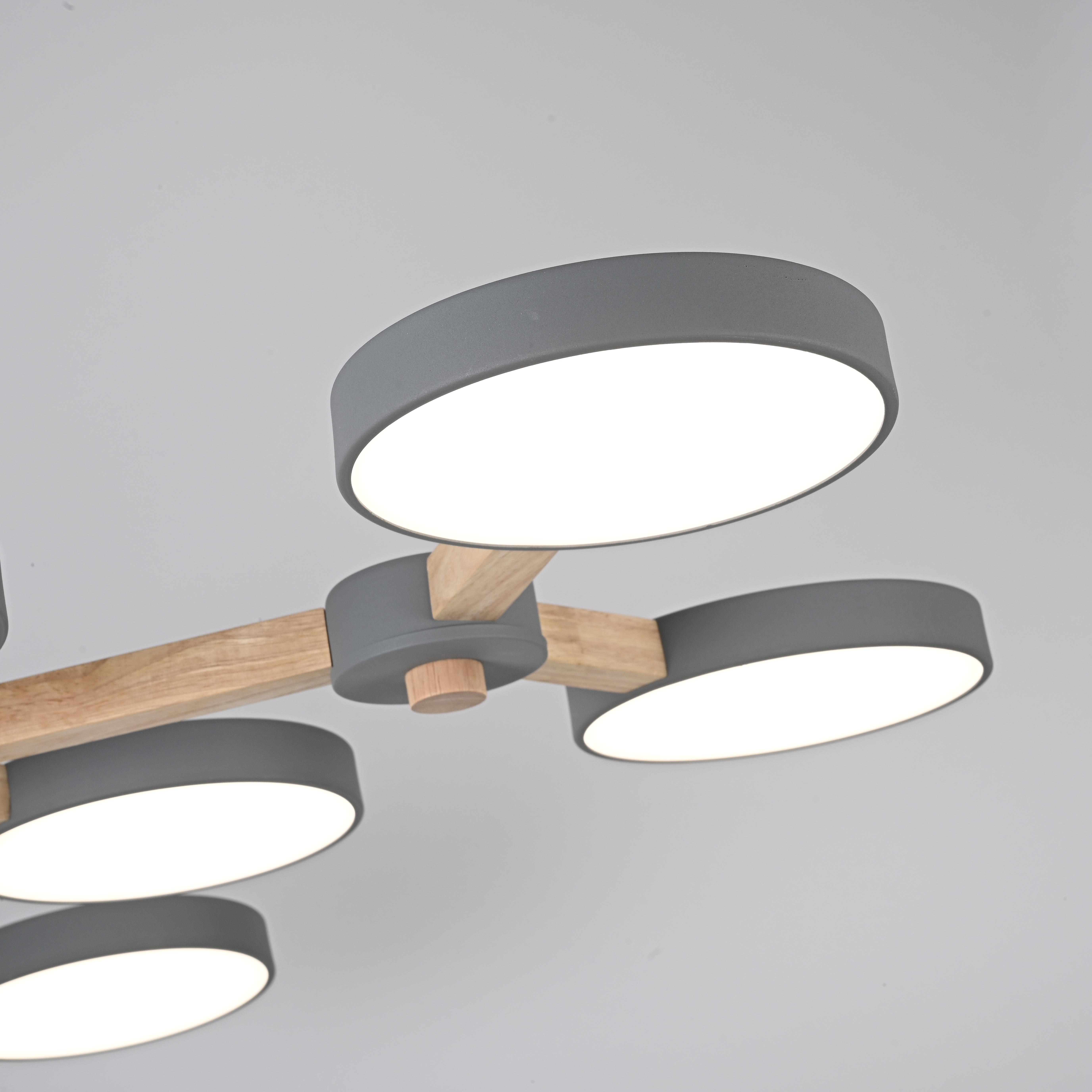 Потолочная люстра серый VAMVIDNEE VV997314 4 Потолочная люстра серый VAMVIDNEE VV997314 — изображение 4