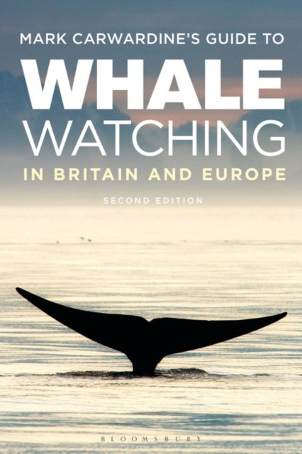 Mark Carwardine's Guide To Whale Watching In Britain And Eur (Марк Карвардин: Путеводитель Марка Карвардина по наблюдению за китами в Великобритании и Европе) 1 Mark Carwardine's Guide To Whale Watching In Britain And Eur (Марк Карвардин: Путеводитель Марка Карвардина по наблюдению за китами в Великобритании и Европе)