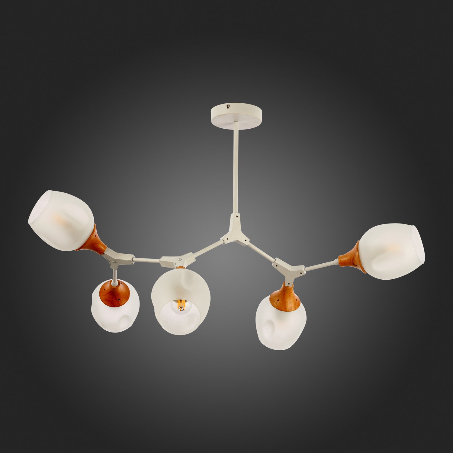 Светильник VAMVIDNEE VV241585 14 Светильник VAMVIDNEE VV241585 — изображение 14