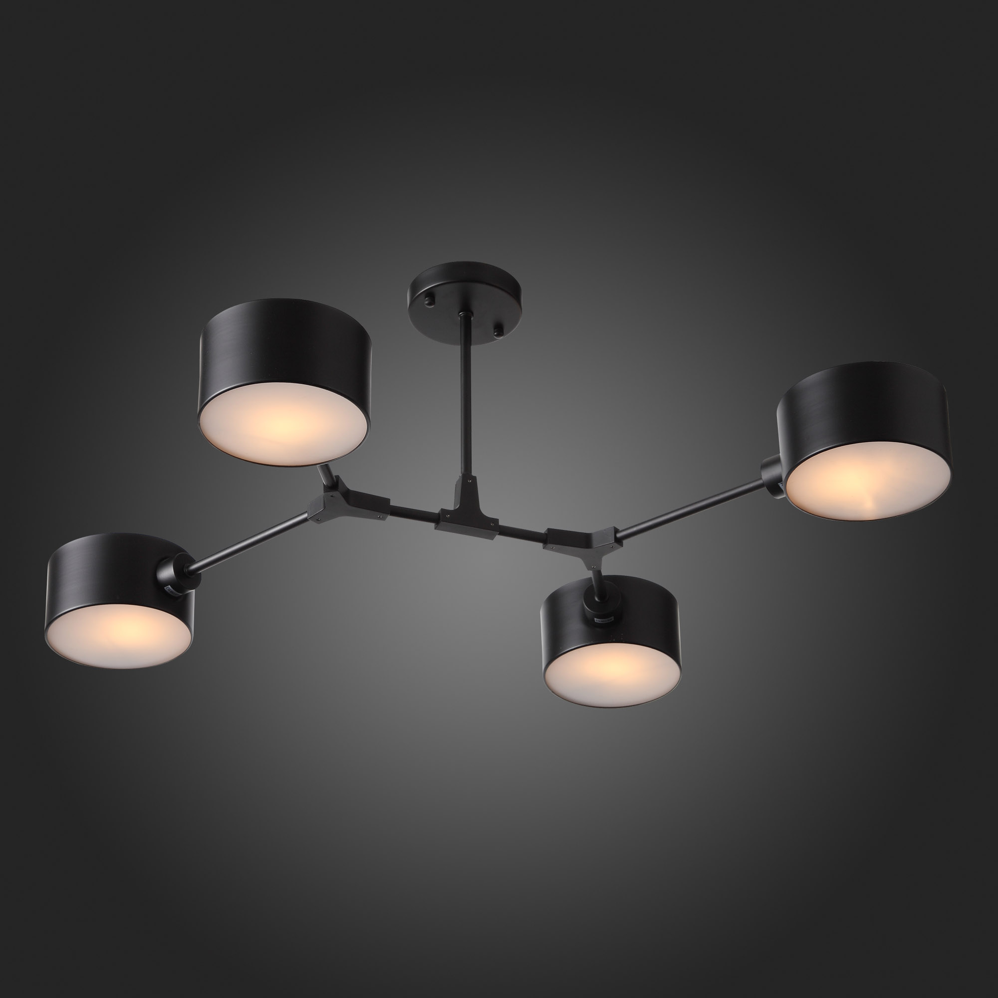 Светильник VAMVIDNEE VV241676 14 Светильник VAMVIDNEE VV241676 — изображение 14