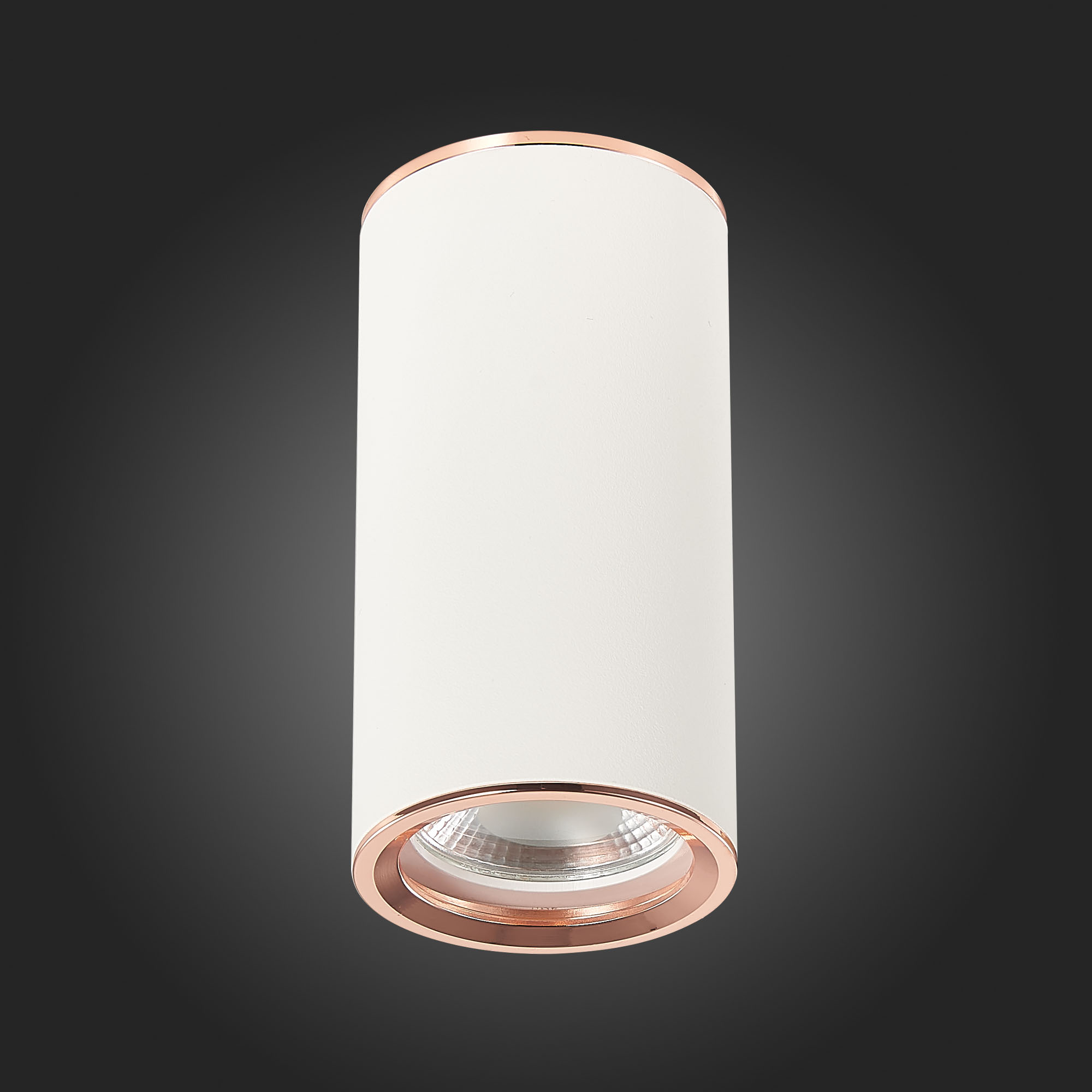 Светильник VAMVIDNEE VV244441 11 Светильник VAMVIDNEE VV244441 — изображение 11