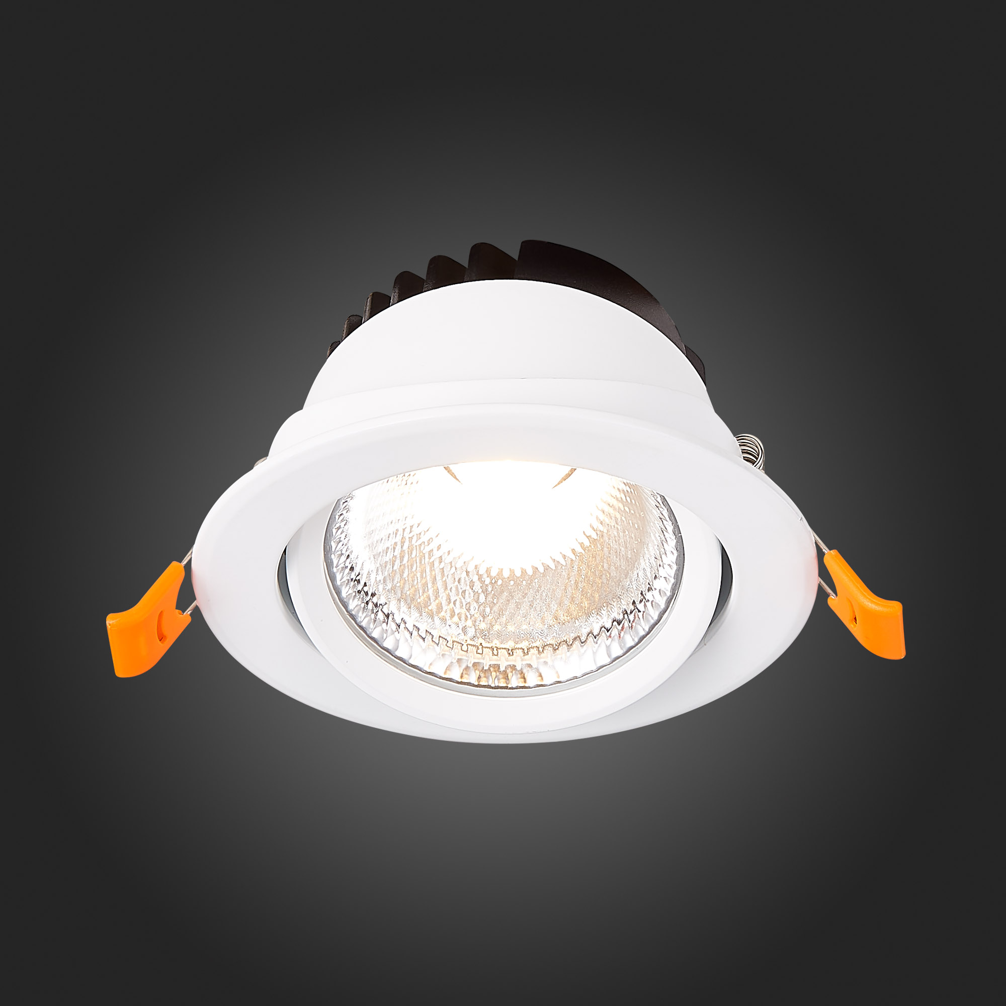 Св-к VAMVIDNEE VV252492 14 Св-к VAMVIDNEE VV252492 — изображение 14