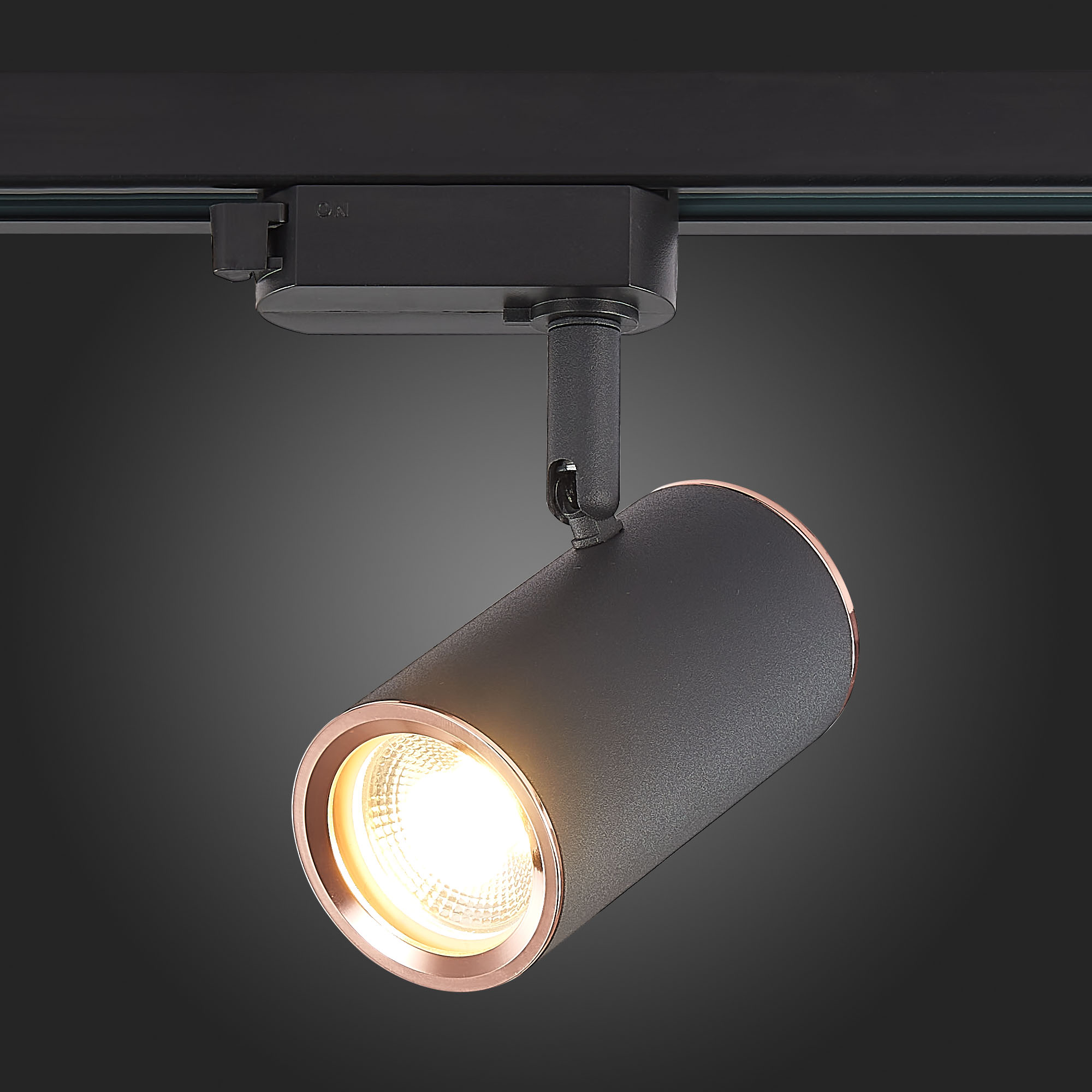 Св-к VAMVIDNEE VV253623 11 Св-к VAMVIDNEE VV253623 — изображение 11