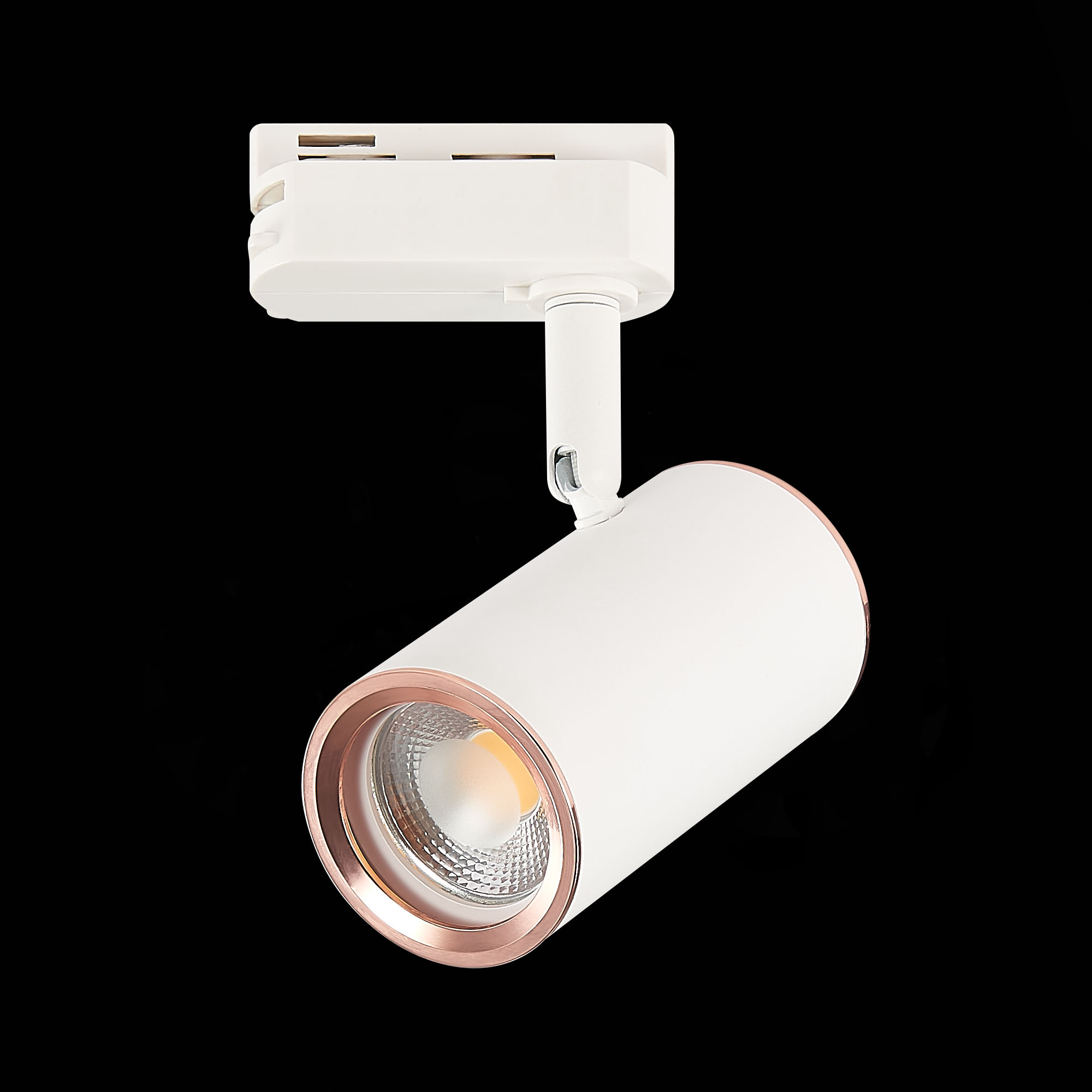 Св-к VAMVIDNEE VV253624 16 Св-к VAMVIDNEE VV253624 — изображение 16