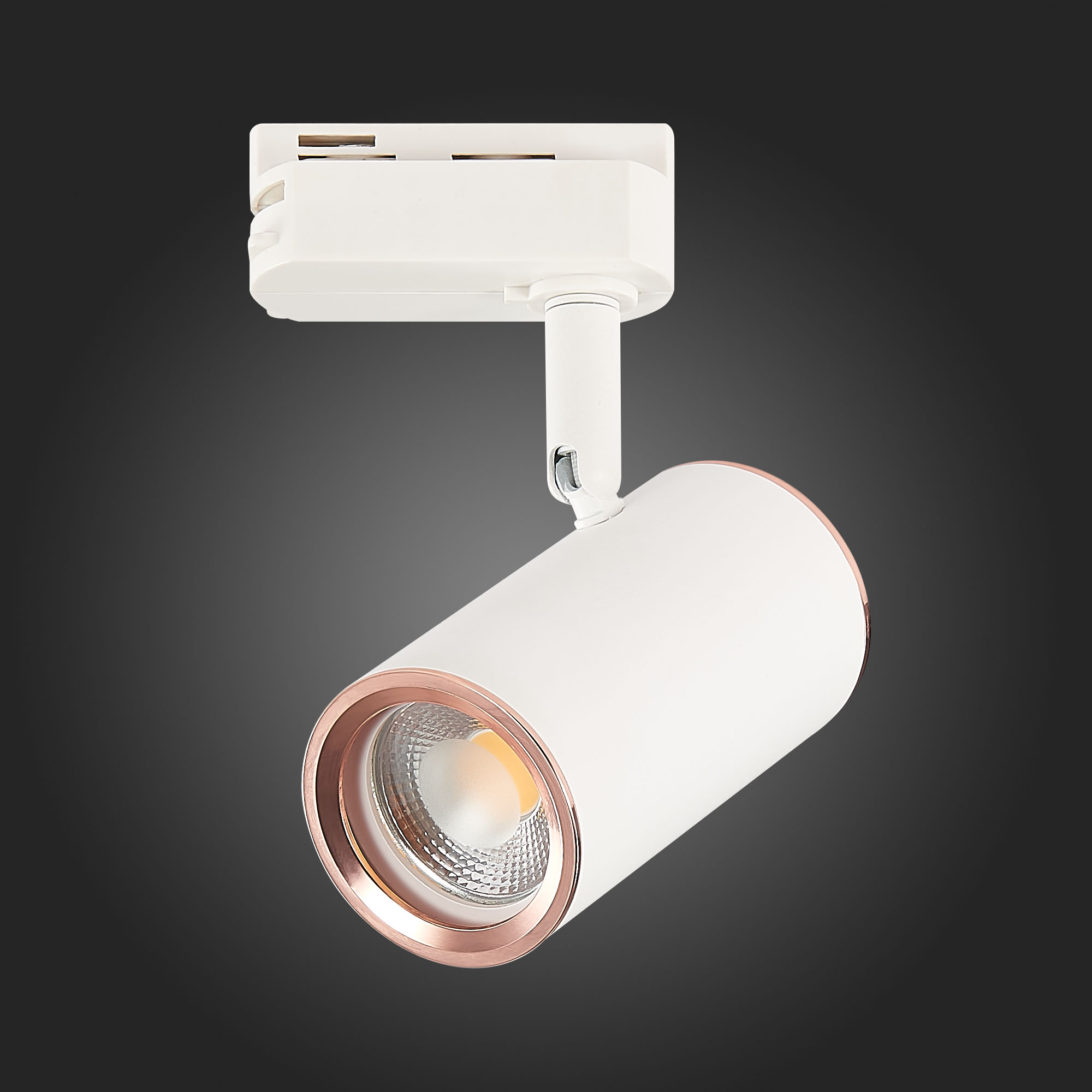 Св-к VAMVIDNEE VV253624 17 Св-к VAMVIDNEE VV253624 — изображение 17