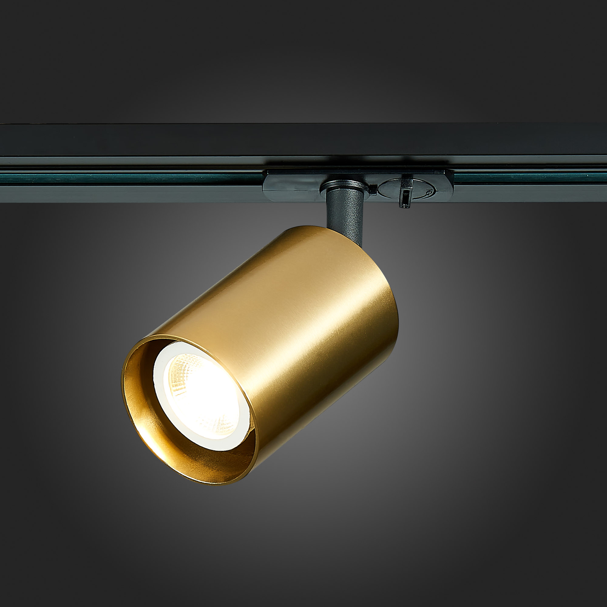 Св-к VAMVIDNEE VV253542 11 Св-к VAMVIDNEE VV253542 — изображение 11