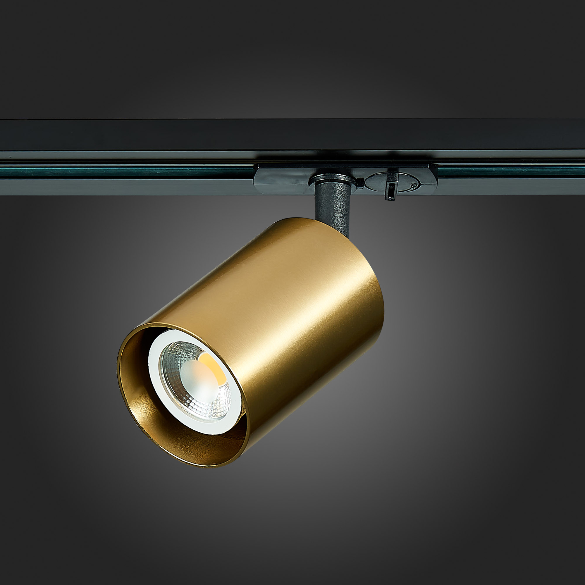 Св-к VAMVIDNEE VV253542 14 Св-к VAMVIDNEE VV253542 — изображение 14