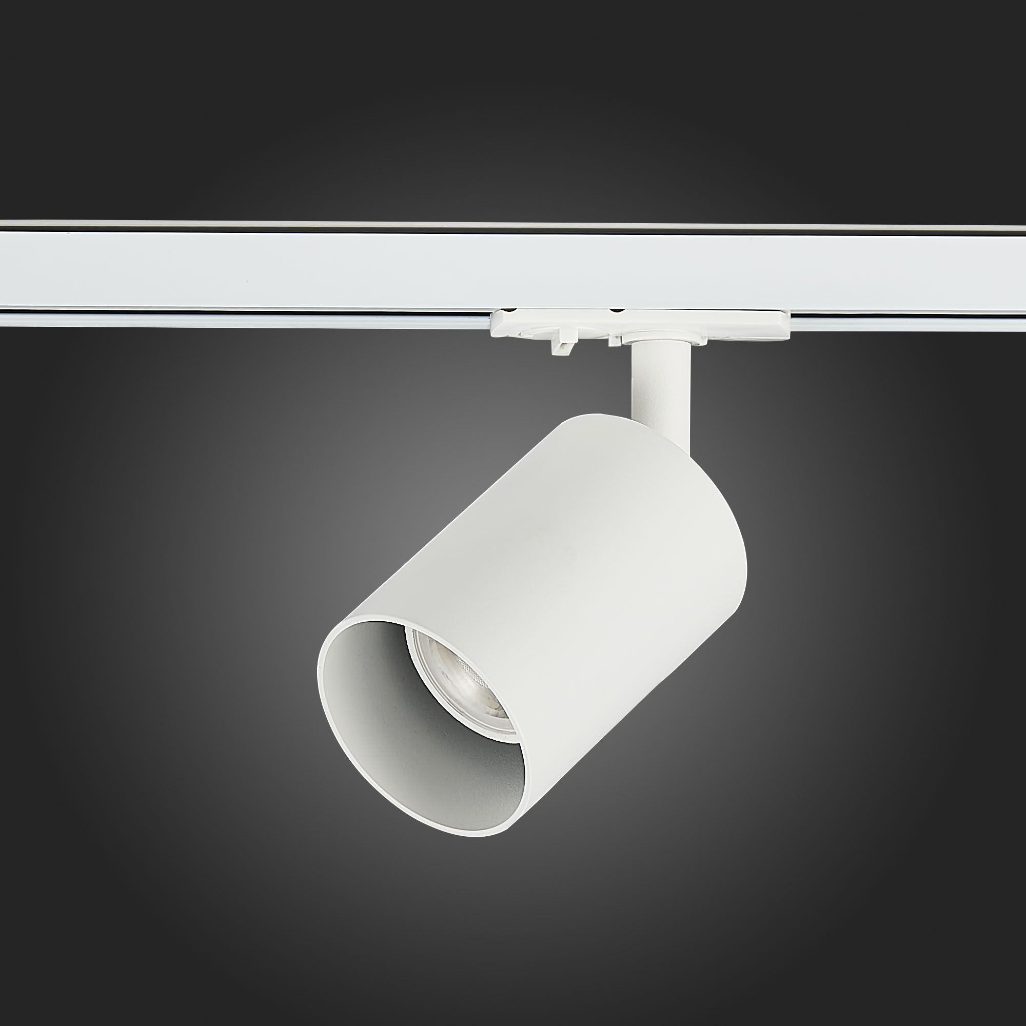 Св-к VAMVIDNEE VV253552 11 Св-к VAMVIDNEE VV253552 — изображение 11