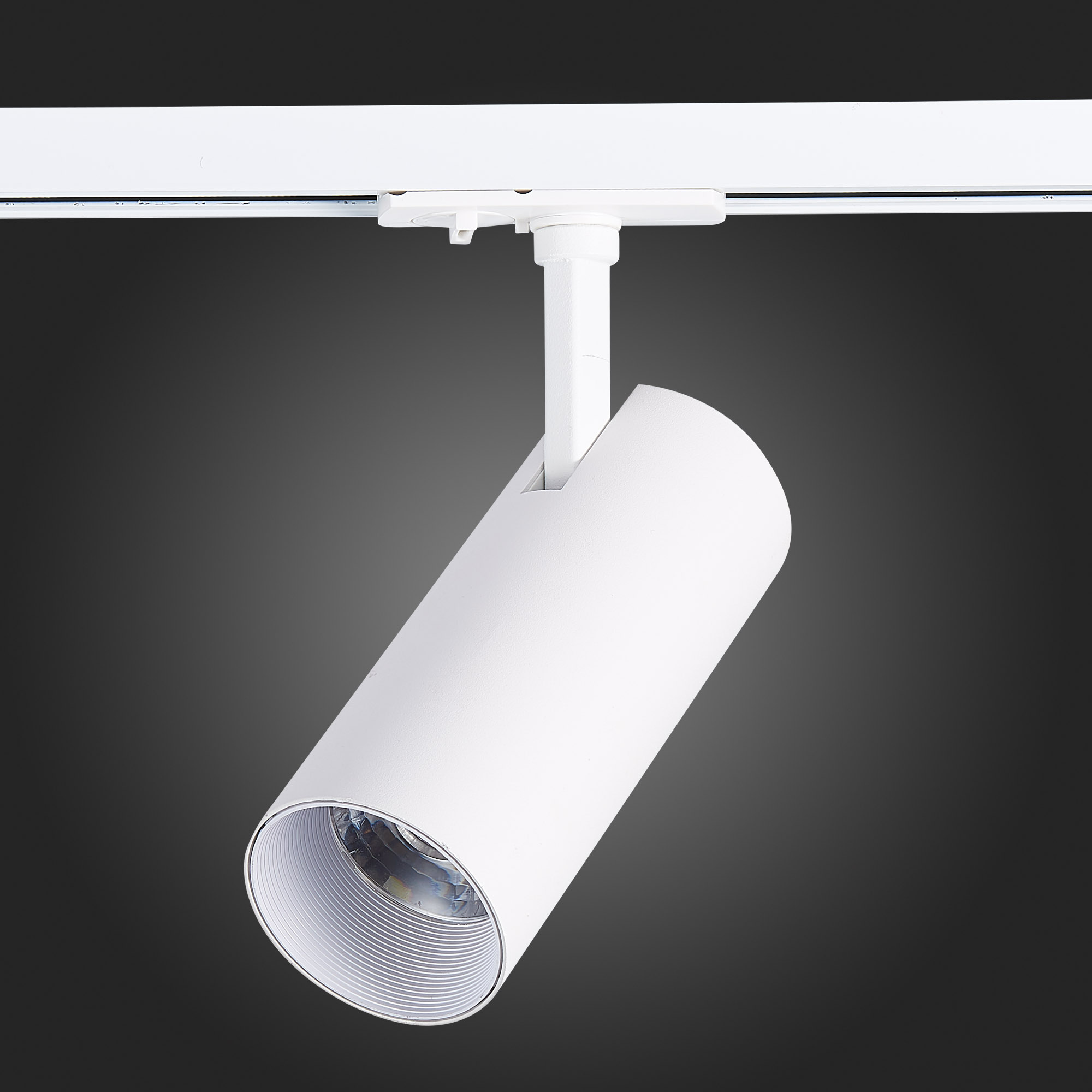 Св-к VAMVIDNEE VV619920 5 Св-к VAMVIDNEE VV619920 — изображение 5