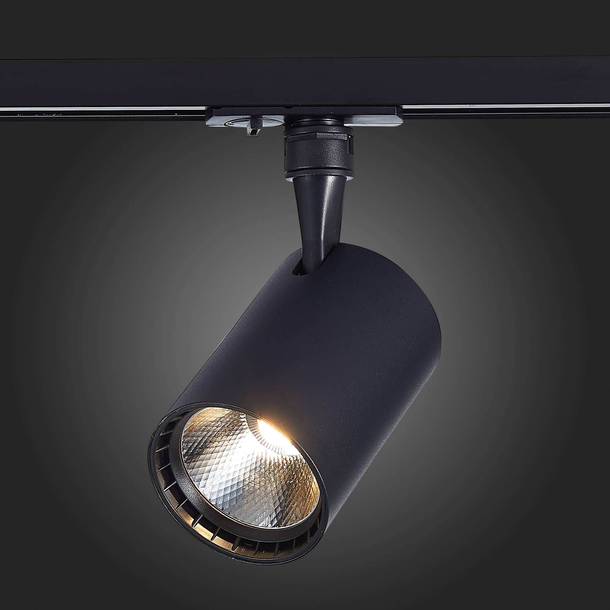 Св-к VAMVIDNEE VV253614 11 Св-к VAMVIDNEE VV253614 — изображение 11