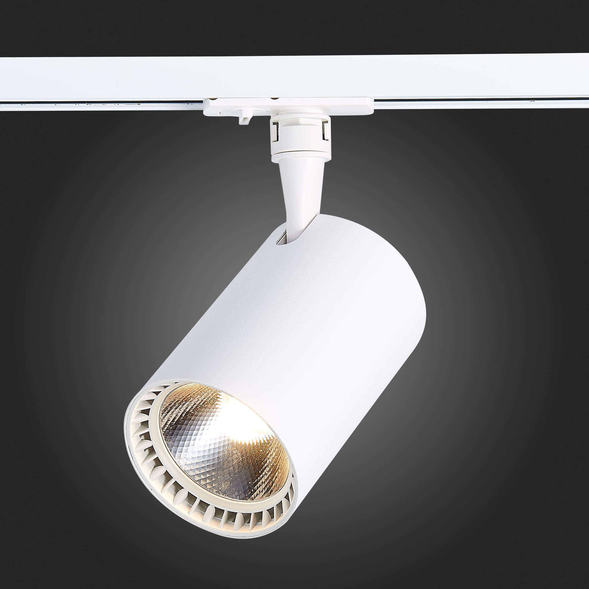 Св-к VAMVIDNEE VV253581 11 Св-к VAMVIDNEE VV253581 — изображение 11