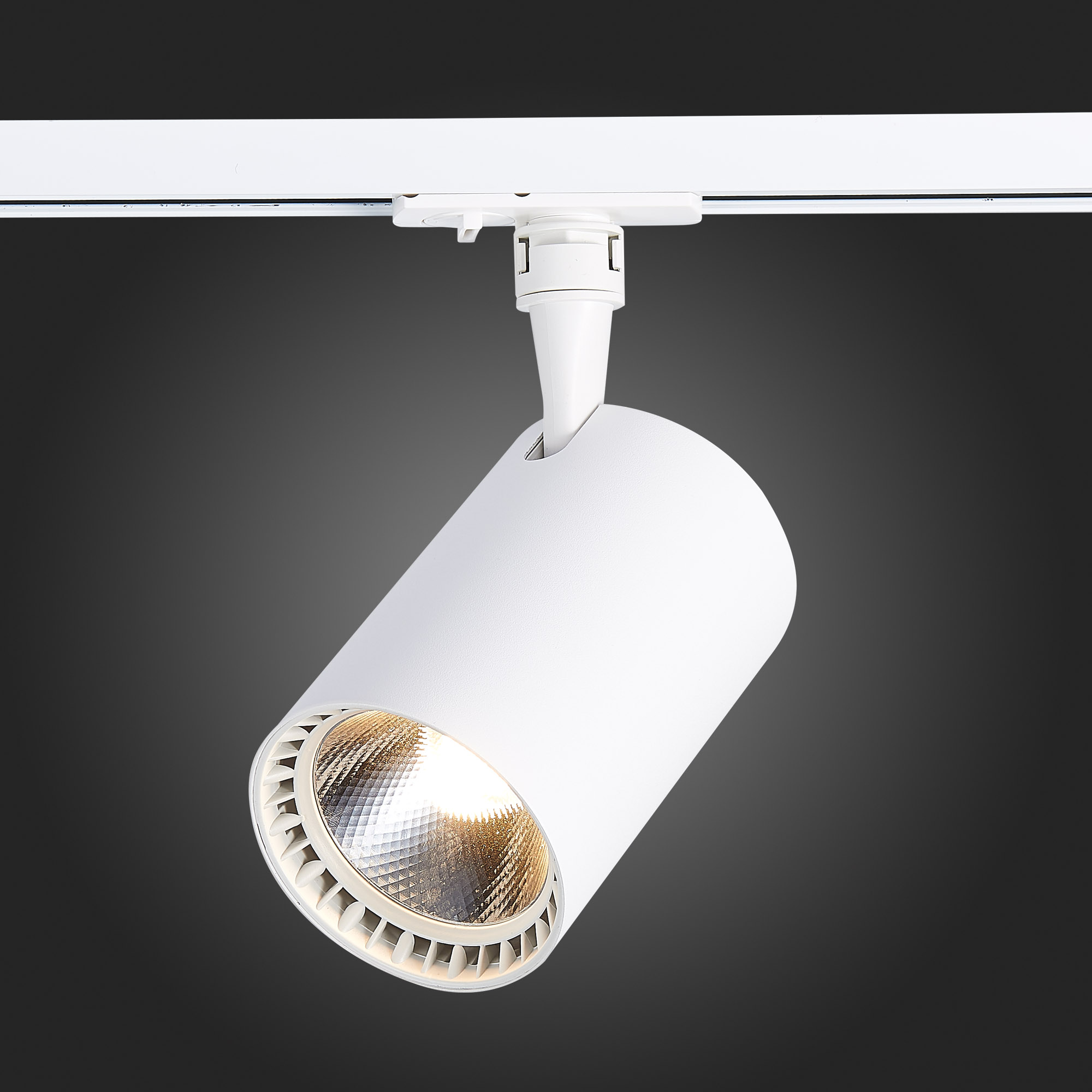 Св-к VAMVIDNEE VV619944 3 Св-к VAMVIDNEE VV619944 — изображение 3