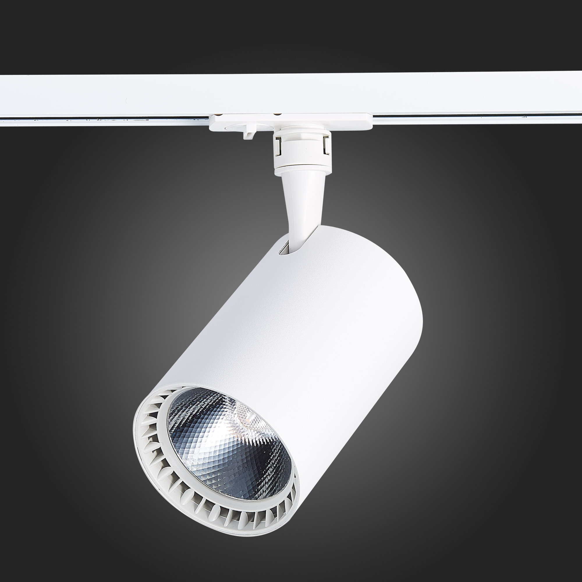 Св-к VAMVIDNEE VV619944 5 Св-к VAMVIDNEE VV619944 — изображение 5