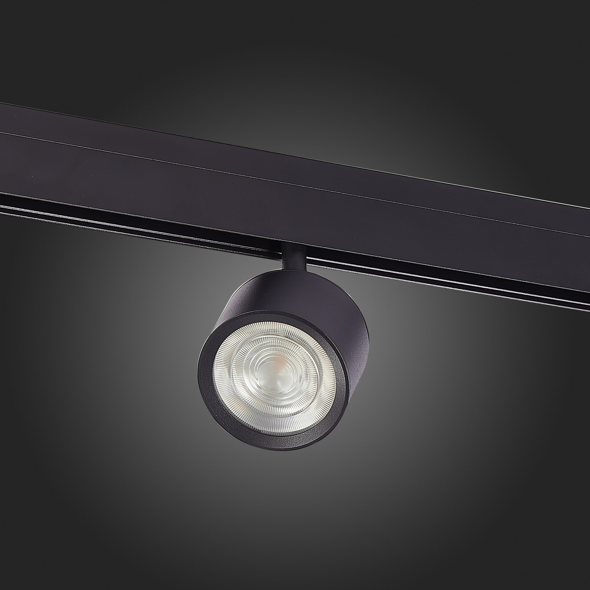 Магнитный VAMVIDNEE VV253698 14 Магнитный VAMVIDNEE VV253698 — изображение 14