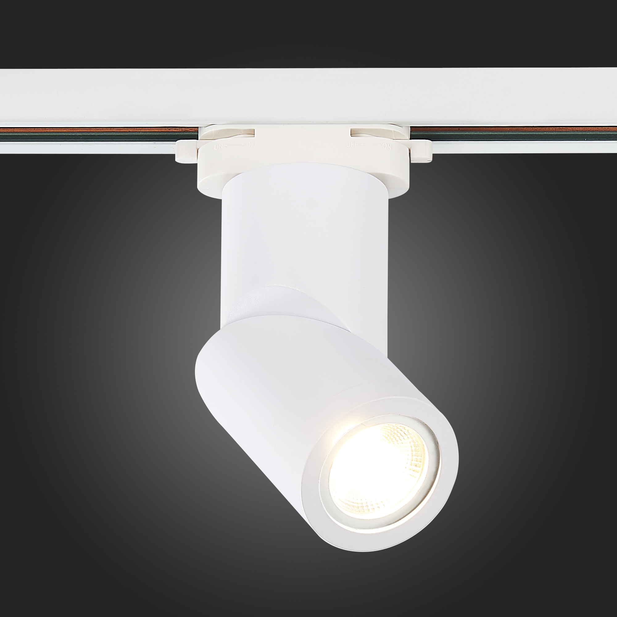 Св-к VAMVIDNEE VV253631 6 Св-к VAMVIDNEE VV253631 — изображение 6