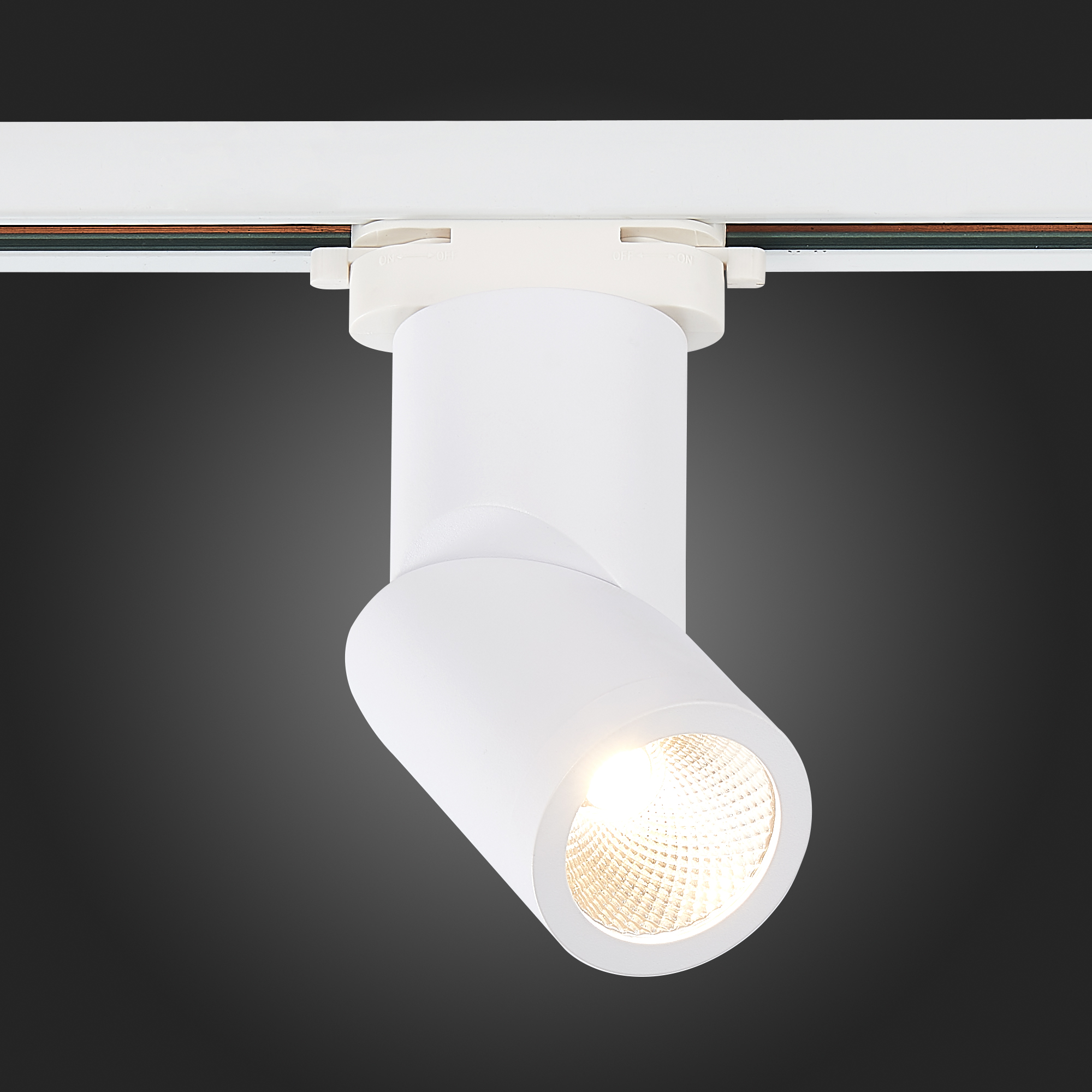 Св-к VAMVIDNEE VV253629 6 Св-к VAMVIDNEE VV253629 — изображение 6