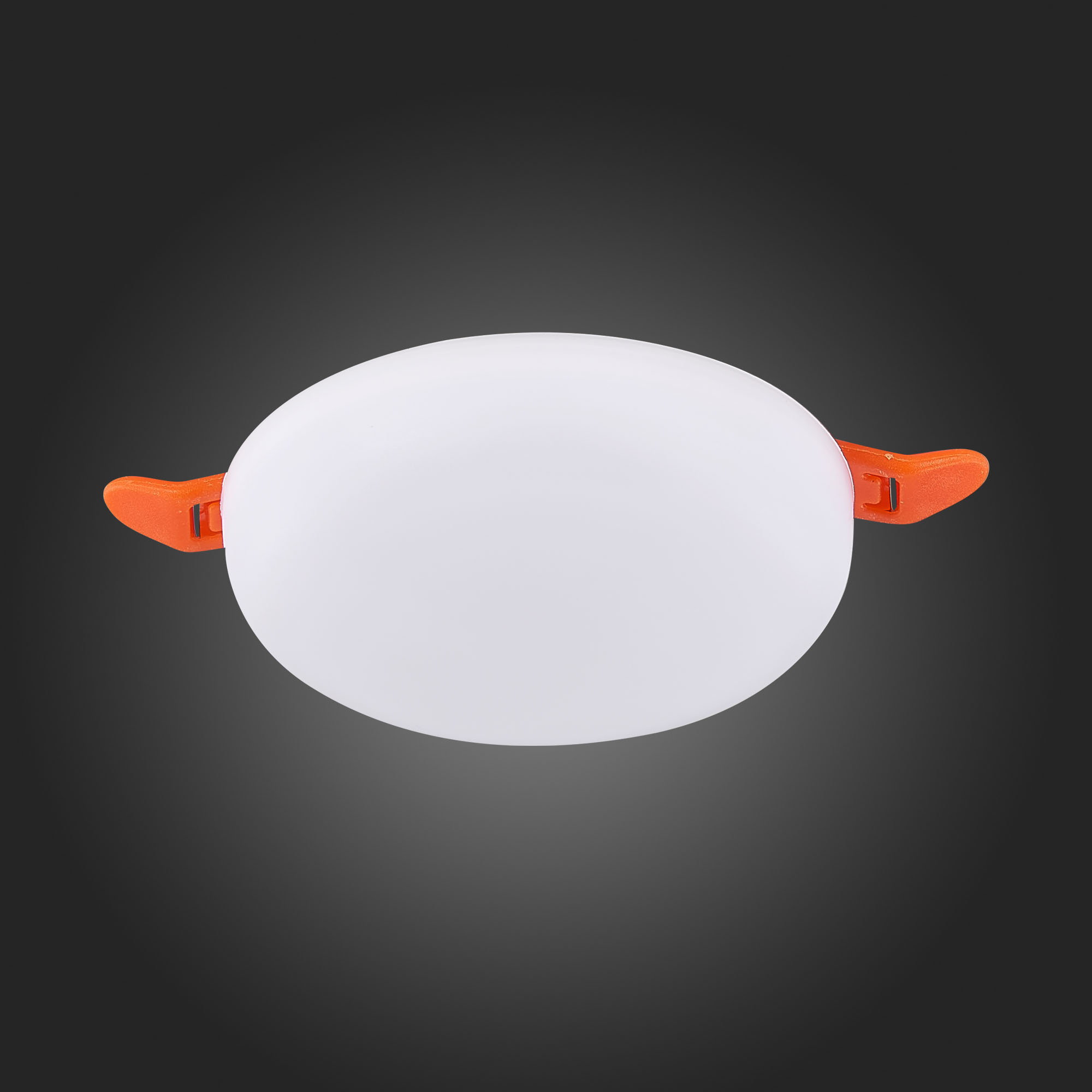 Св-к VAMVIDNEE VV252644 16 Св-к VAMVIDNEE VV252644 — изображение 16