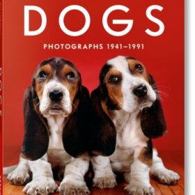 Walter Chandoha. Dogs. photographs 1941 - 1991 mini (Уолтер Чандоха. Собаки. Фотографии 1941-1991 гг.)