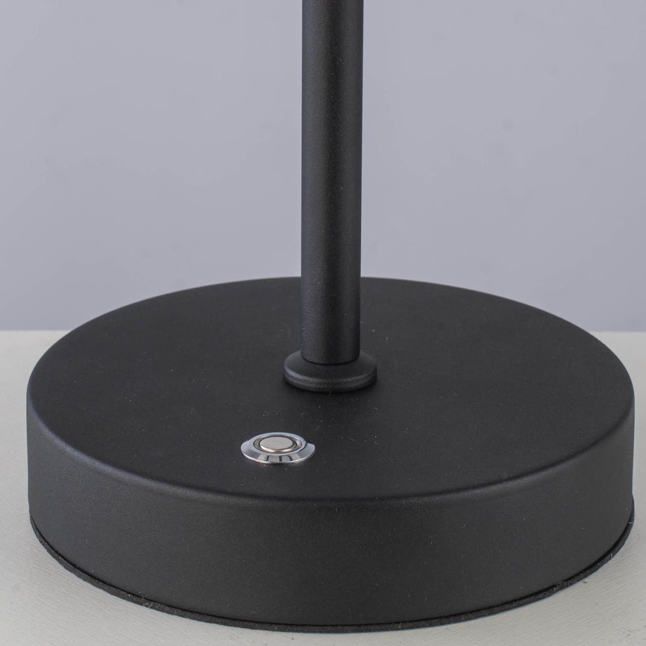 Настольная лампа VAMVIDNEE VV1031764 4 Настольная лампа VAMVIDNEE VV1031764 — изображение 4